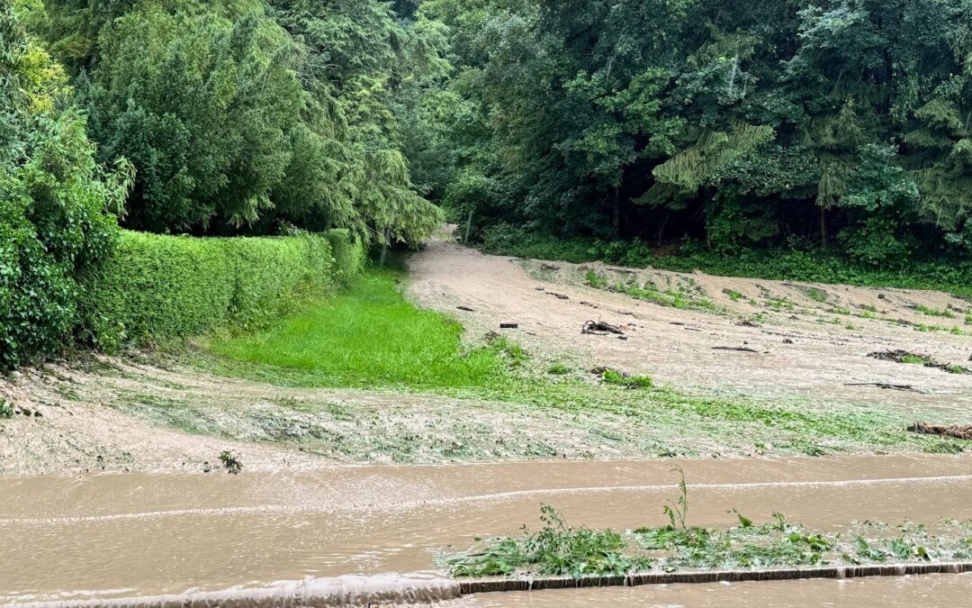 Danke an die Feuerwehrleute!